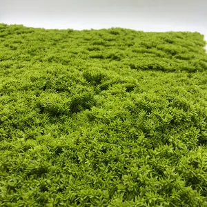 EG-A069新设计定制立式植物墙人造壁挂植物绿草墙家居装饰
