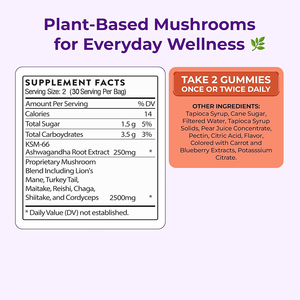 Complément Adaptogène en Gommes Bio Végétalien en Gros : Mélange de Crinière de Lion et de Champignons Reishi avec KSM-66 Ashwagandha en Sachet - Product Image 6