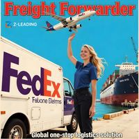 Achat de conteneurs d'expédition pour les achats en ligne internationaux, agent d'expédition DDP, importation de la Chine, logistique de livraison, LCL + Express
