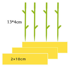Offre Spéciale plante Bug pièges collants intérieur vert collant étanche plante d'intérieur <span class=keywords><strong>mouche</strong></span> moucheron pièges - Product Image 2