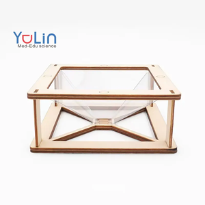Proiettore Olografico 3D in Legno Fatto a Mano, Giocattolo Scientifico per Bambini, Esperimento Fai-da-Te per Scuola Primaria e Asilo - Product Image 1