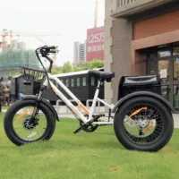 Meigi trikes 3 rodas elétrica adulta, 750w bafang bicicleta de carga elétrica triciclo elétrico para adultos