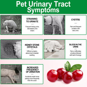 60 buah makanan ringan hewan peliharaan dukungan kesehatan ginjal suplemen Chew kontrol Cranberry untuk anjing perawatan infeksi saluran urin - Product Image 3