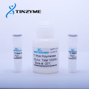 Polymérase T7 thermostable de qualité supérieure Tinzyme, grade biologique, 50U/99% de pureté, <span class=keywords><strong>express</strong></span>ée dans E. Coli, 100 µl, personnalisable - Product Image 3
