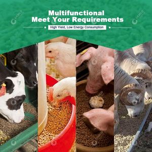 เครื่องผลิตเม็ดอาหารลูกแกะเครื่องผลิตเม็ดอาหาร23I8อาหารในอินเดียโมเดล125 - Product Image 6