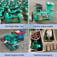 Presse à huile à vis automatique pour moteur diesel 6YL-68 |   Huile d'arachide et de soja 40-60 kg/h pour les petites entreprises au Nigeria