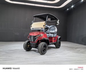 Carrito de Golf Eléctrico Todoterreno Wliftrich con Batería de Litio de 60V para Caza y Turismo, 3-4 Asientos, Alcance de 50-70 km - Product Image 1