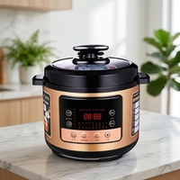 Cuisinière à pression électrique GB-PC510 6L 1000W, boîtier en acier inoxydable, cuve intérieure en fer-aluminium, contrôle par micro-ordinateur, usage domestique
