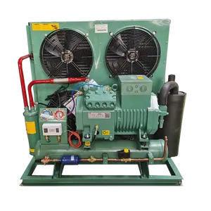 Unidade de condensação refrigerada a ar do compressor de fábrica 3hp 5hp 6hp 10hp 12HP Alemanha