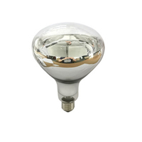 275W Or Étanche Infrarouge Chauffage Ampoules Plafond Salle De Bains Lait Blanc Salle De Bain Chauffage
