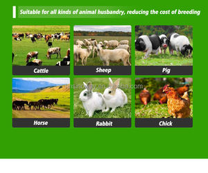 เครื่องอัดฟางกลมขนาดเล็กแบบอัตโนมัติเต็มรูปแบบสำหรับขาย อะไหล่เครื่องอัดฟาง <span class=keywords><strong>Claas</strong></span> 55 Markant อะไหล่เครื่องอัดฟางสำหรับ Welger 630 สำหรับใช้ในฟาร์ม - Product Image 6