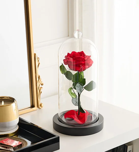 Meilleur cadeau pour <span class=keywords><strong>la</strong></span> Saint-Valentin, <span class=keywords><strong>rose</strong></span> enchantée de <span class=keywords><strong>La</strong></span> <span class=keywords><strong>Belle</strong></span> <span class=keywords><strong>et</strong></span> <span class=keywords><strong>la</strong></span> Bête, <span class=keywords><strong>rose</strong></span> véritable préservée dans de <span class=keywords><strong>la</strong></span> glycérine, longue durée, 3-5 ans, cloche <span class=keywords><strong>en</strong></span> <span class=keywords><strong>verre</strong></span> - Product Image 6