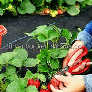 Anti-mauvaise herbe maille fraise plantes tapis de mauvaises herbes jardinage tissu lutte contre les mauvaises herbes pour Offre Spéciale - Product Image 3