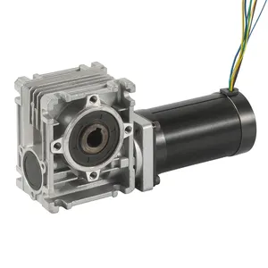 Electric 12v Brushless Dc Motor 24v 36v 48v 310v Car Brushless Bldc Dc Motor 72v With Control Encoder Or Gearbox