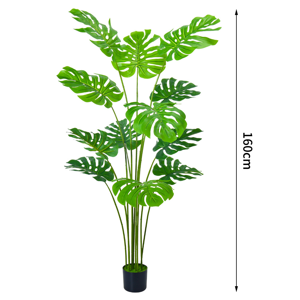Monstera de 160cm [viene con una maceta de plástico negro]