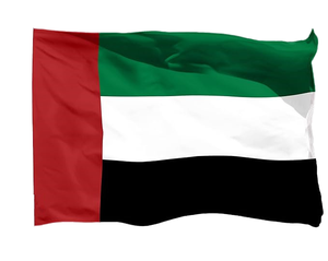Drapeau national des Émirats arabes unis (EAU) 3x5FT en polyester, impression numérique, séchage rapide, bannière des pays du Moyen-Orient - Product Image 1