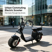 Scooter électrique tout-terrain 2000W Citycoco, moto à pneus larges, vitesse maximale de 60 km/h, scooter électronique à deux roues