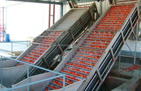 Turnkey complete tomatenproductielijn, complete set machines voor tomatenpuree, ketchup en tomatensap.