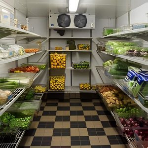 肉类蔬菜水果鱼储存冰箱太阳能冷藏室 - Product Image 1