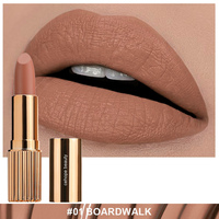 Rouge à lèvres longue tenue végétalien, imperméable, fini mat velours givré, anti-transfert, aspect naturel, gloss à lèvres personnalisé effet brume, OEM