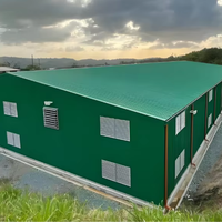 Estructura de Acero para Naves Avícolas, Diseño de Granjas de Pollos, Construcción Rápida y Ligera con Soldadura y Corte de Acero