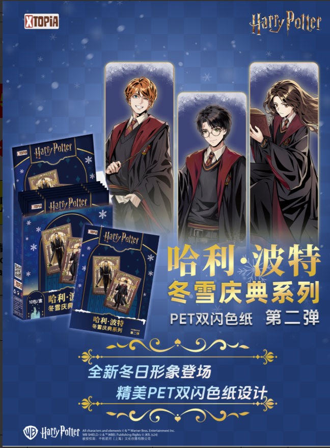 Papier couleur double flash PET Winter Snow 1 boîte (10 paquets)