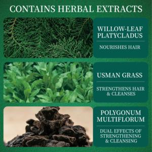 Champú Sólido de Hoja de Platycodon de Marca Privada, Jabón Natural para Limpieza Capilar, Cuidado Hidratante del Cabello, Proveedor OEM ODM - Product Image 2