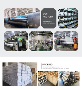 FMVSS-302 Modern açık mutfak toz kum dayanıklı yangına dayanıklı pencere cibinlik Polyester böcek ekran örgü - Product Image 5