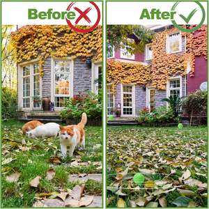 Olio di menta piperita all'ingrosso 10 Count con 5 marsupio tenere i gatti fuori dal prato, cortile, giardino, contro graffio e masticare palla deterrente per gatti - Product Image 3