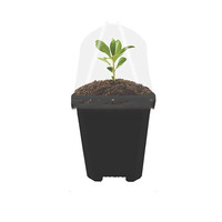 Pots de pépinière transparents de 4 pouces, pots de semis, pots de pépinière pour plantes avec dôme d'humidité, semoir pour jardin intérieur et extérieur