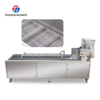 Commerciële Groente Fruit Wasmachine Industriële Bubbel Wasmachine Fruit