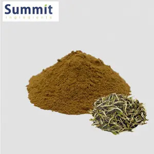 Top Quality Supply 10:1 White Tea Extract Powder Camellia Sinensis White Tea Extract Powder