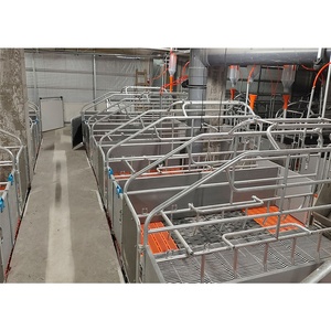 Equipo para Crí<span class=keywords><strong>a</strong></span> de Cerdos: Corrales de Maternidad y Jaulas de Parto para Granjas Porcinas - Product Image 5