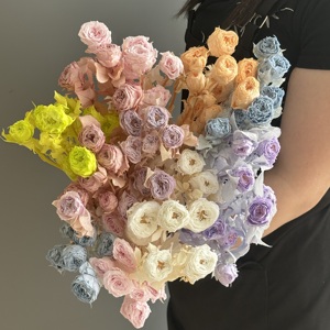 Lot en gros de 20 tiges/têtes de roses <span class=keywords><strong>éternelle</strong></span>s préservées par pulvérisation – Plus de 10 couleurs assorties, fleurs réalistes pour DIY, fleuristes et mariages - Product Image 1
