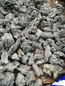 Piedra de leopardo al por mayor adecuada para el mundo del agua - Product Image 4