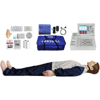 Modèle de mannequin de RCR pour adulte avec écran de 4.3 pouces Mannequin médical complet avec contrôleur et impression pour la formation aux premiers secours
