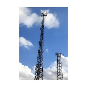 Bionic cây phong cách thép thông tin liên lạc tháp thẩm mỹ chống UV thiết kế hỗ trợ 4G/5G & Giám sát cho các điểm danh lam thắng cảnh - Product Image 3