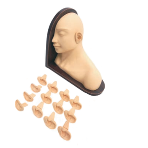 Modèle de formation avancé d'examen d'oreille pour la formation médicale - Product Image 1