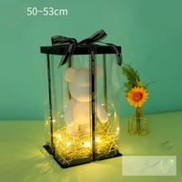 Boîte à gâteau en acrylique transparent de 23 cm pour ours fluide - Boîte de présentation pour ours violent DIY, emballage cadeau à emporter pour ours peint