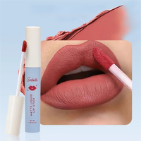 Rouge à lèvres liquide mat exclusif éclaircissant longue durée crème antiadhésive maquillage mode Style OEM teinte pour les lèvres