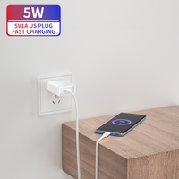 Adaptateur d'alimentation universel USB PD à charge rapide 5V 1A 5W, respectueux de l'environnement, double protection, pour téléphones mobiles, écouteurs intelligents