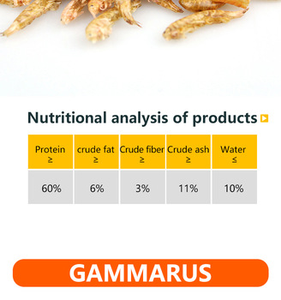 Gammarus natural para alimentación de peces - Product Image 4
