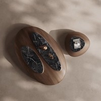 Table à thé de forme irrégulière, style Wabi Sabi, design de designer, style galet, avec une touche de luxe et une esthétique minimaliste, table à thé et à café