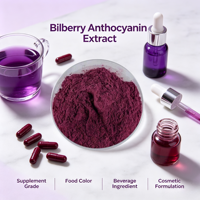Fabrieksbulklevering Standaard Anthocyanine 5% Bosbessenextract Voedingskwaliteit voor dranken en voedingsmiddelen grondstof