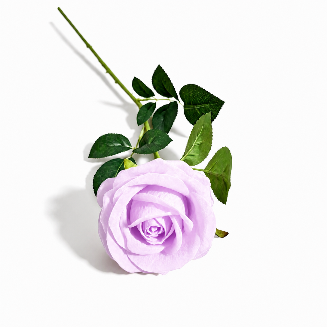 Light Purple