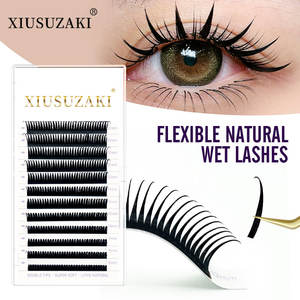 XIUSUZAKI 0.05 0.07mm Extensions de Cils Spikes Type <span class=keywords><strong>Manga</strong></span> Cosplay Wispy Volume Fans Préfaits Fournitures de Cils Effet Mouillé - Product Image 1