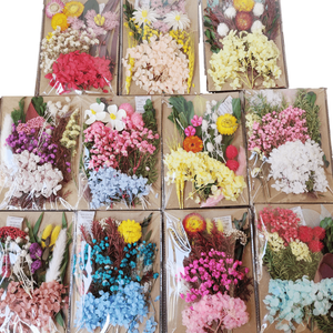 วัสดุดอกไม้แห้งอัดแบบ DIY เป็นมิตรกับสิ่งแวดล้อม สำหรับเทียนหอม กรอบรูป ดอกไม้แห้ง<span class=keywords><strong>รัก</strong></span>ษาคุณภาพ สำหรับวันแม่ วันคริสต์มาส - Product Image 1