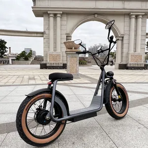 Scooter électrique 1000W Super moteur jusqu'à 55 KM/H vélo Scooter meilleur SCOOTER électrique