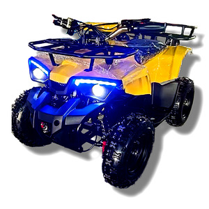 ATV per bambini 49CC, piccola moto da montagna a quattro <span class=keywords><strong>ruote</strong></span>, fuoristrada, a benzina, a due tempi, con avviamento manuale. - Product Image 4