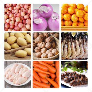 Máquina clasificadora de frutas con cinturón automático OCEAN, ostra, <span class=keywords><strong>Caracol</strong></span>, ostra, pescado <span class=keywords><strong>vivo</strong></span>, máquina de peso y clasificación - Product Image 6